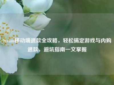 Steam移动端退款全攻略，轻松搞定游戏与内购退款，避坑指南一文掌握