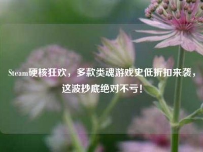 Steam硬核狂欢，多款类魂游戏史低折扣来袭，这波抄底绝对不亏！