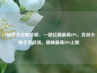 CF帧率天花板攻略，一键拉满最高FPS，告别卡顿主宰战场，揭秘最高FPS上限