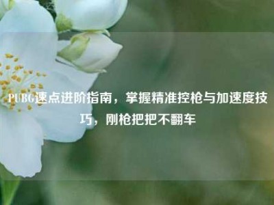 PUBG速点进阶指南，掌握精准控枪与加速度技巧，刚枪把把不翻车