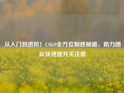 从入门到进阶！CSGO全方位制胜秘籍，助力团队快速提升关注度