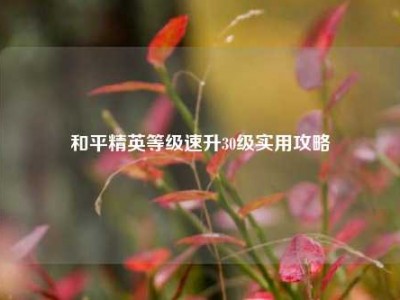 和平精英等级速升30级实用攻略