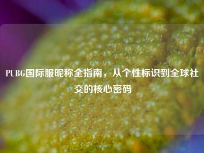PUBG国际服昵称全指南，从个性标识到全球社交的核心密码