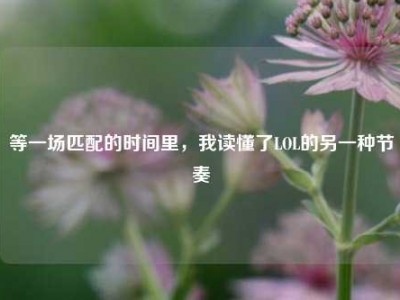 等一场匹配的时间里，我读懂了LOL的另一种节奏