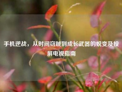 手机逆战，从时间窃贼到成长武器的蜕变及投屏电视指南