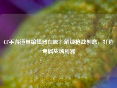 CF手游道具编辑器在哪？解锁枪战创意，打造专属战场利器