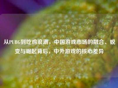 从PUBG到吃鸡浪潮，中国游戏市场的融合、蜕变与崛起背后，中外游戏的核心差异