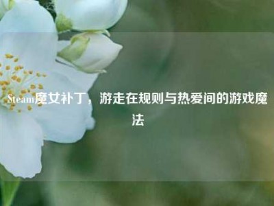 Steam魔女补丁，游走在规则与热爱间的游戏魔法