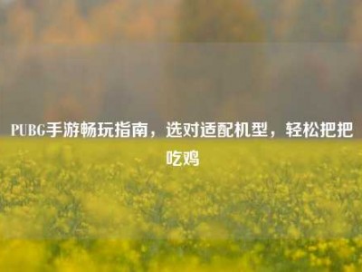 PUBG手游畅玩指南，选对适配机型，轻松把把吃鸡