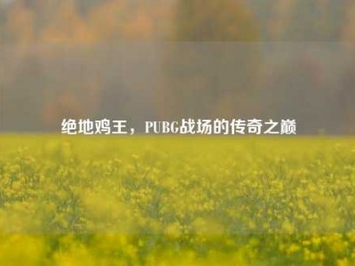绝地鸡王，PUBG战场的传奇之巅