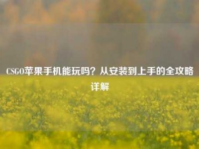 CSGO苹果手机能玩吗？从安装到上手的全攻略详解