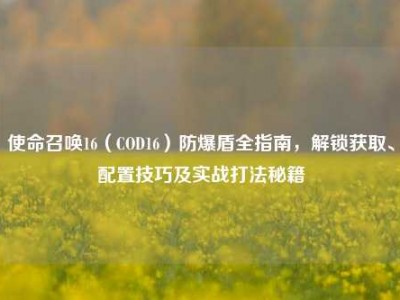 使命召唤16（COD16）防爆盾全指南，解锁获取、配置技巧及实战打法秘籍
