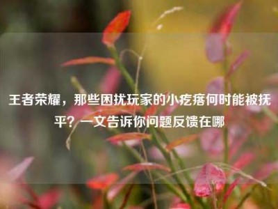 王者荣耀，那些困扰玩家的小疙瘩何时能被抚平？一文告诉你问题反馈在哪