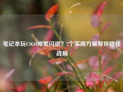 笔记本玩CSGO频繁闪退？7个实用方案帮你稳住战局