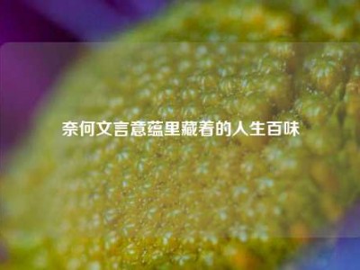 奈何文言意蕴里藏着的人生百味