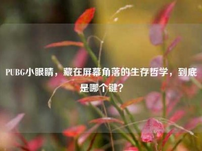 PUBG小眼睛，藏在屏幕角落的生存哲学，到底是哪个键？