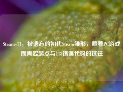 Steam-11，被遗忘的初代Steam雏形，藏着PC游戏圈青涩起点与118错误代码的过往