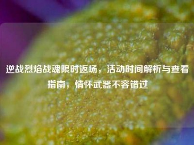逆战烈焰战魂限时返场，活动时间解析与查看指南，情怀武器不容错过