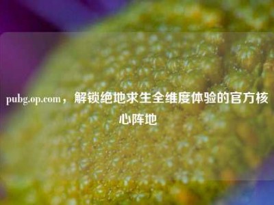 pubg.op.com，解锁绝地求生全维度体验的官方核心阵地