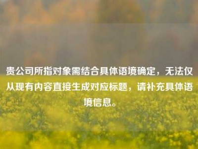 贵公司所指对象需结合具体语境确定，无法仅从现有内容直接生成对应标题，请补充具体语境信息。