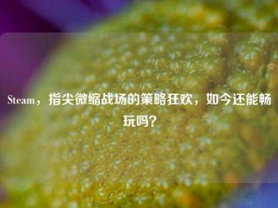 Steam，指尖微缩战场的策略狂欢，如今还能畅玩吗？