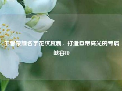 王者荣耀名字花纹复制，打造自带高光的专属峡谷ID