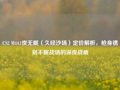 CS2 M4A1夜无眠（久经沙场）定价解析，枪身镌刻不眠战场的深夜战痕
