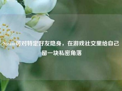 Steam可对特定好友隐身，在游戏社交里给自己留一块私密角落