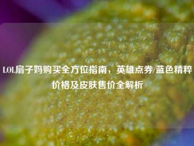 LOL扇子妈购买全方位指南，英雄点券/蓝色精粹价格及皮肤售价全解析