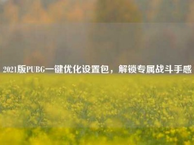 2021版PUBG一键优化设置包，解锁专属战斗手感