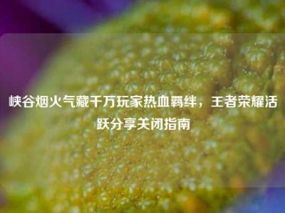 峡谷烟火气藏千万玩家热血羁绊，王者荣耀活跃分享关闭指南