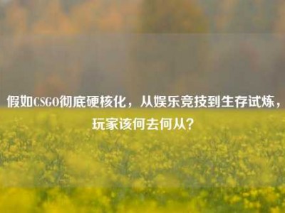 假如CSGO彻底硬核化，从娱乐竞技到生存试炼，玩家该何去何从？