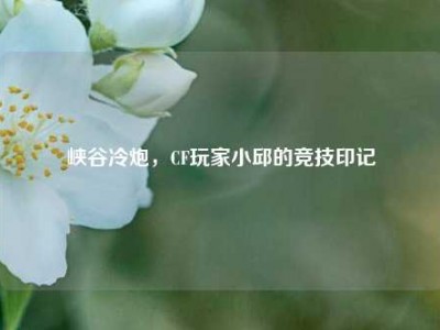 峡谷冷炮，CF玩家小邱的竞技印记