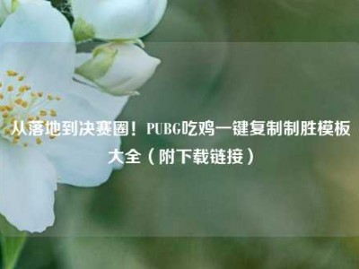 从落地到决赛圈！PUBG吃鸡一键复制制胜模板大全（附下载链接）