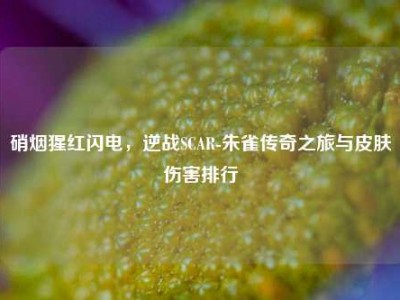 硝烟猩红闪电，逆战SCAR-朱雀传奇之旅与皮肤伤害排行