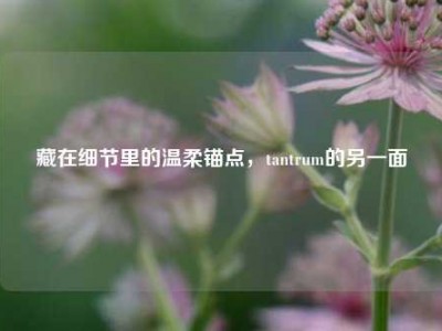 藏在细节里的温柔锚点，tantrum的另一面