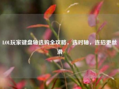 LOL玩家键盘轴选购全攻略，选对轴，连招更丝滑