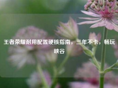 王者荣耀耐用配置硬核指南，三年不卡，畅玩峡谷