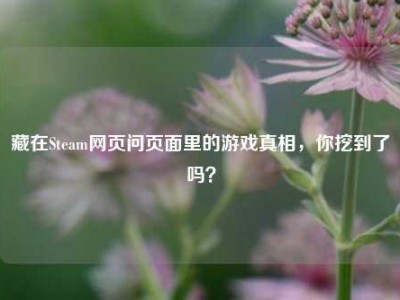 藏在Steam网页问页面里的游戏真相，你挖到了吗？