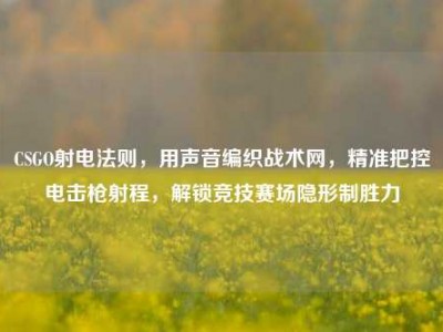 CSGO射电法则，用声音编织战术网，精准把控电击枪射程，解锁竞技赛场隐形制胜力