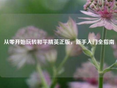 从零开始玩转和平精英正版，新手入门全指南
