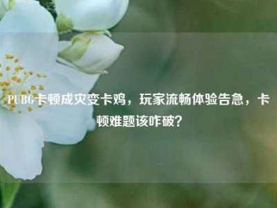 PUBG卡顿成灾变卡鸡，玩家流畅体验告急，卡顿难题该咋破？