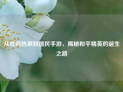 从吃鸡热潮到国民手游，揭秘和平精英的诞生之路
