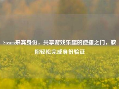 Steam来宾身份，共享游戏乐趣的便捷之门，教你轻松完成身份验证