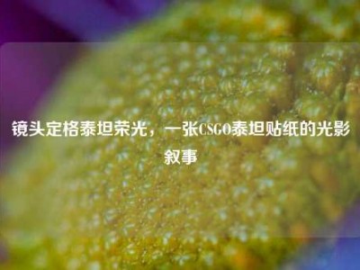 镜头定格泰坦荣光，一张CSGO泰坦贴纸的光影叙事