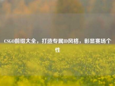 CSGO前缀大全，打造专属ID风格，彰显赛场个性