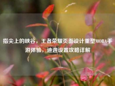 指尖上的峡谷，王者荣耀页面设计重塑MOBA手游体验，迪迦设置攻略详解