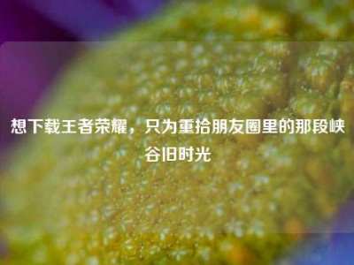想下载王者荣耀，只为重拾朋友圈里的那段峡谷旧时光