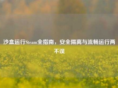 沙盒运行Steam全指南，安全隔离与流畅运行两不误