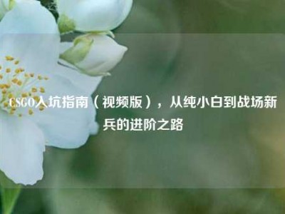 CSGO入坑指南（视频版），从纯小白到战场新兵的进阶之路